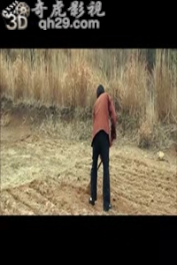 夫人