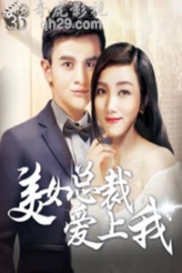 美女总裁爱上我