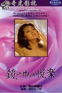 镜中的欢乐