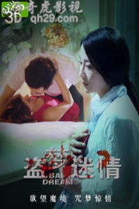 盗梦迷情
