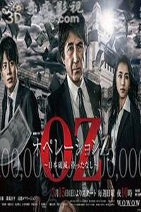 Operation Z ～日本毁灭，无需等待～