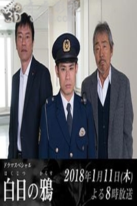 白日之鸦
