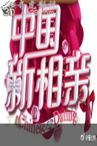 中国新相亲