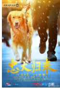 忠犬归来