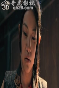 忍法帖：忍者月影抄