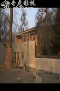 丹麦娇娃(国语中字)