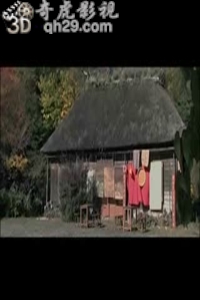 飞龙红云山之侠女报仇 苍井空主演