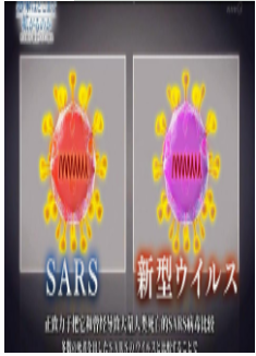 紧急报告 新型冠状病毒肺炎