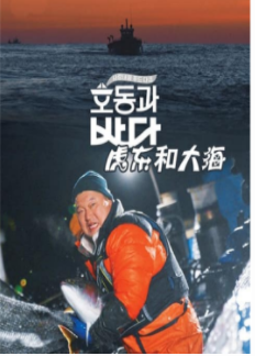 虎东和大海