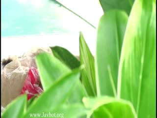 SBVD日本系列564