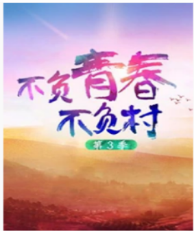 不负青春不负村 第三季