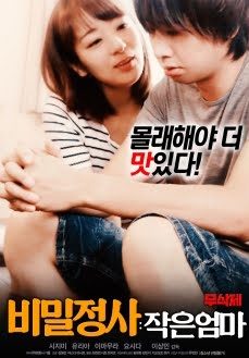 秘密命令小妈妈 