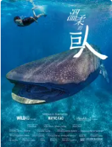 温柔的巨人