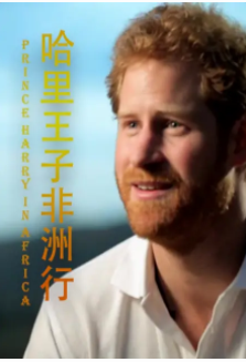 哈里王子非洲行