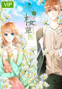 恋是樱草色