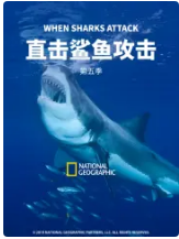 直击鲨鱼攻击 第五季