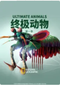 终极动物