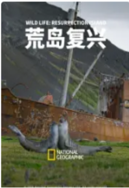 荒岛复兴