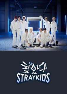 找到了Stray Kids 最新篇 