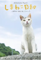 俺是猫，欢迎来俺家玩