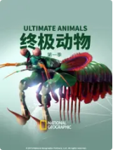 终极动物 第一季
