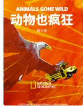 动物也疯狂第三季