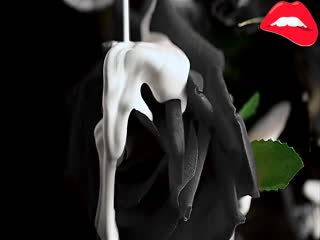 韩国美女组合k159
