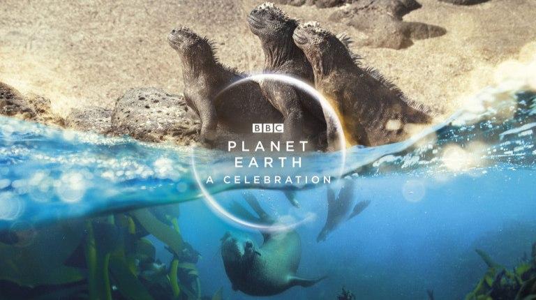 地球脉动：自然庆典/Planet Earth A Celebration