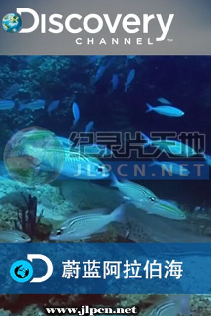 蔚蓝阿拉伯海