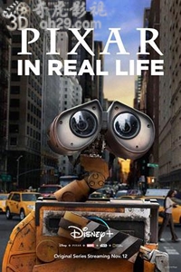 现实生活中的皮克斯.