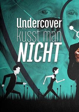 谍恋奇缘 Undercover küsst man nicht