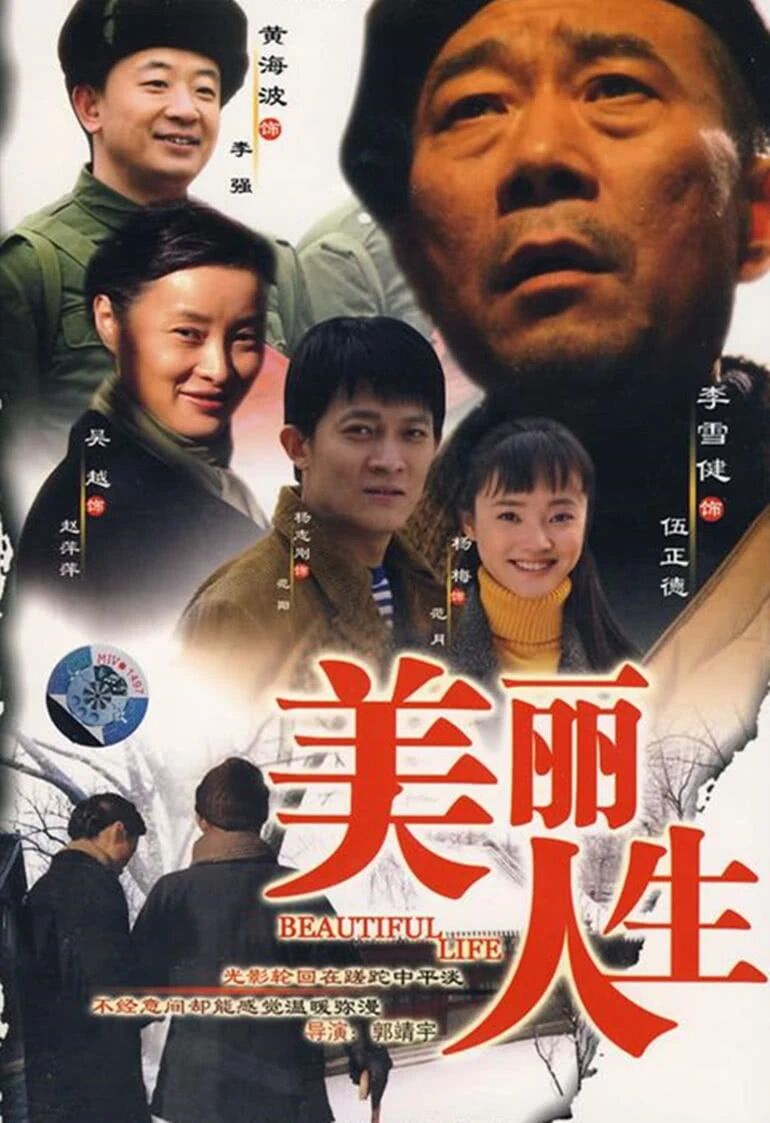 美丽人生2008