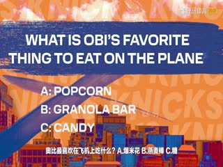 4月5日 22-23赛季NBA常规赛 猛龙VS黄蜂