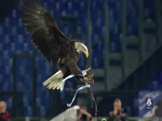 5月8日 22-23赛季意甲第34轮 那不勒斯VS佛罗伦萨