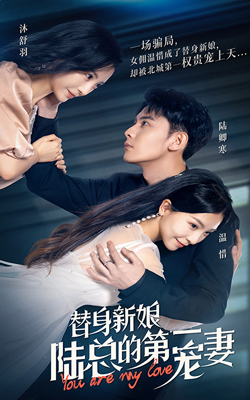 替身新娘:陆总的第一宠妻