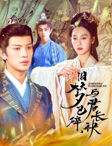 旧梦已碎,与君长诀&终是深情错付君