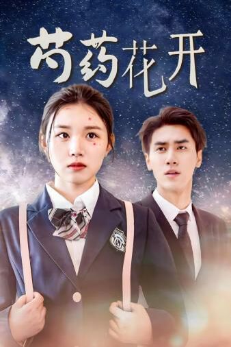 芍药花开(火光中的芍药花)