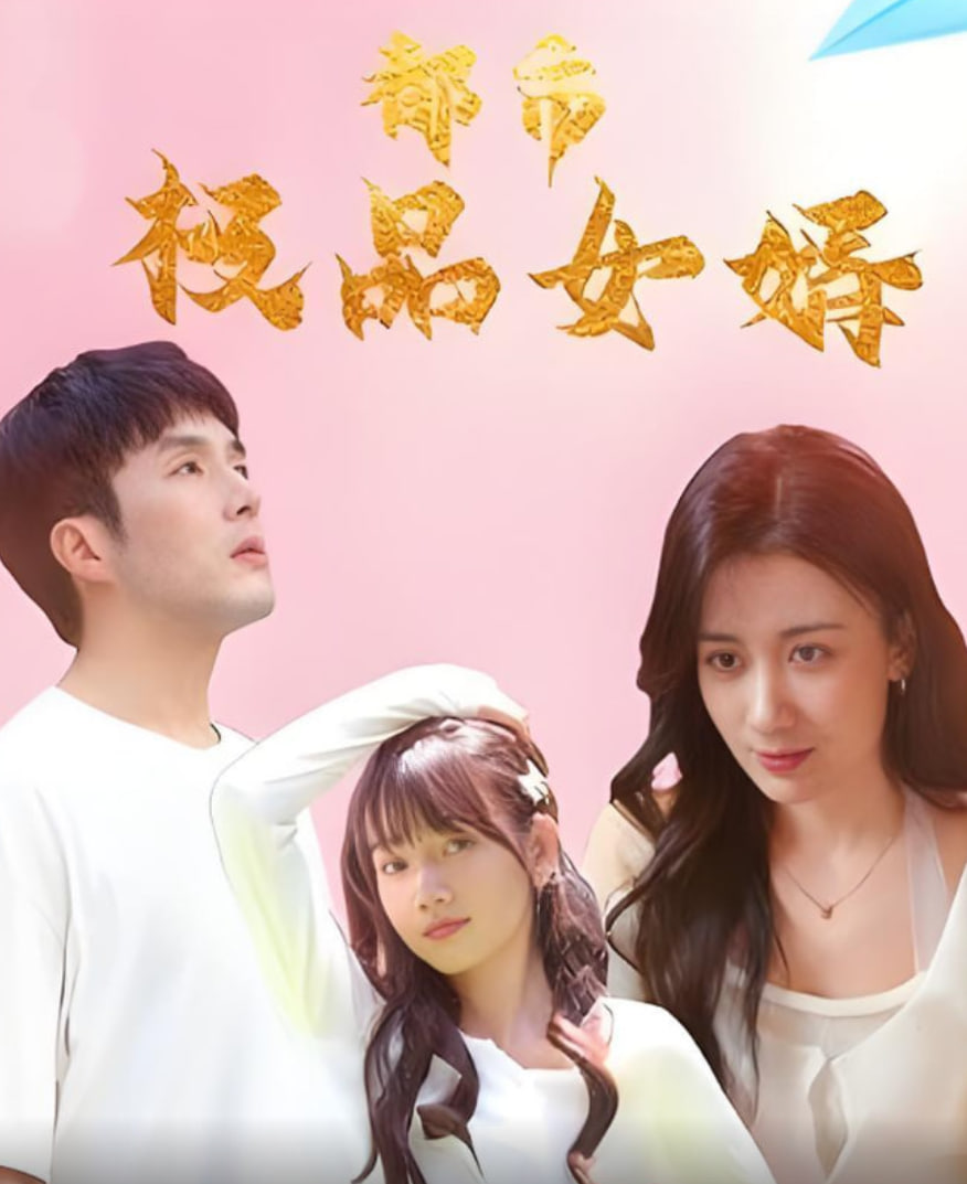 都市极品女婿（都市逍遥女婿）