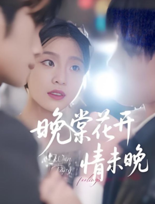 晚棠花开情未晚