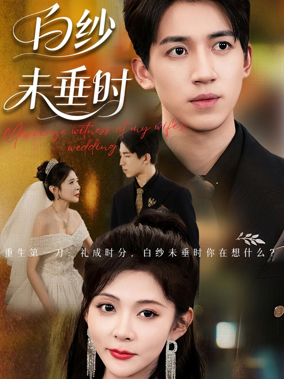 老婆婚礼我当证婚人(白纱未垂时)