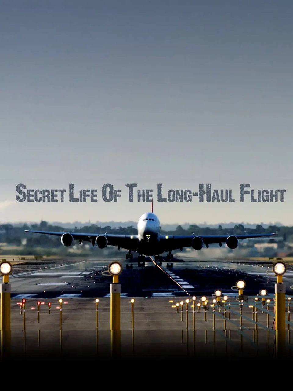 长途航班的秘密生活