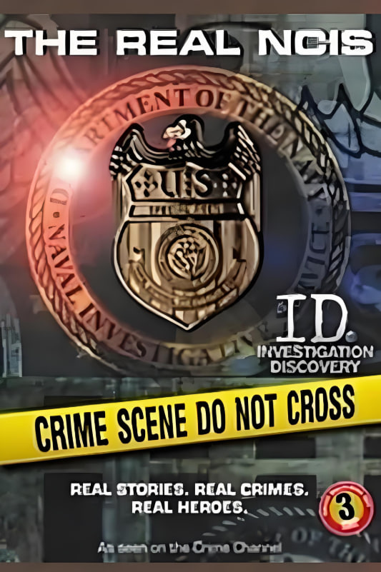 48小时:海军罪案调查处 第一季