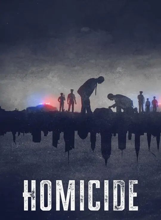 凶杀重案实录:纽约 第二季