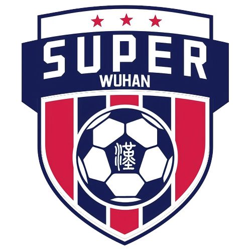 武汉城市足球超级联赛城区组决赛 蔡甸区2.3东湖高新区20251109