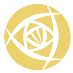 中女超联赛 北京东方雨虹女足vs上海农商银行女足20250823