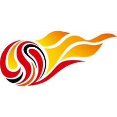 中超 武汉三镇vs成都蓉城20250629