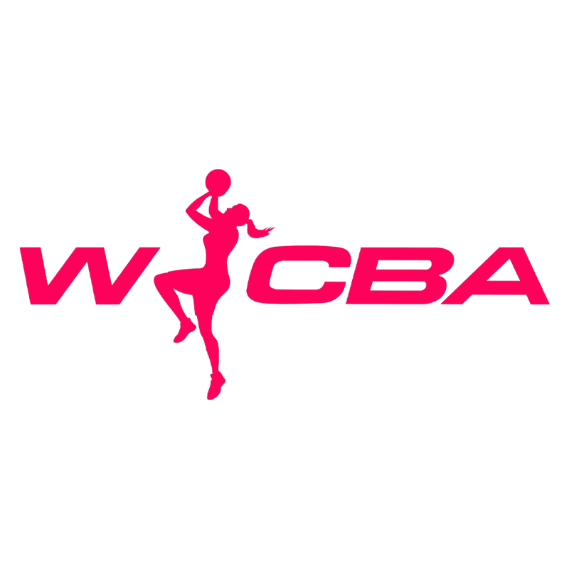 WCBA 东莞新彤盛vs石家庄英励20250211