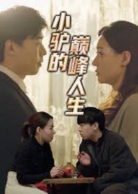 小驴的巅峰人生