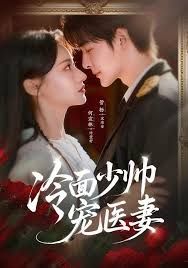 冷面少帅宠医妻