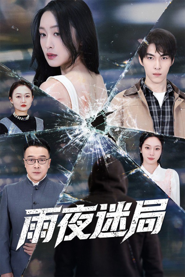 雨夜迷局 (沉默的真相之雨夜原罪)